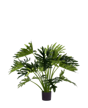 La Plante Artificielle Philodendron UV 90 cm a de grandes feuilles vertes profondément lobées dans un pot, parfaite comme plante d'intérieur nécessitant peu d'entretien pour ajouter de la verdure à l'intérieur. Sur un fond blanc il donne un style naturel sans entretien.
