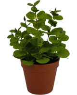 La Plante Artificielle Menthe 30 cm est une petite plante artificielle aux feuilles rondes vertes dans un pot en plastique marron, sur un fond uni blanc.