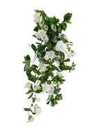 La plante artificielle suspendue Pétunia 70 cm blanc a des feuilles vertes et des fleurs blanches en forme de trompette dans un motif en cascade semblable à une vigne, sur un fond blanc uni.