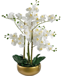 Orchidée Artificielle Real Touch 50 cm blanc dans pot or