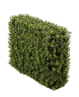 La Haie de Buis Artificiel UV 70x20x50 cm, une haie rectangulaire verte dense avec de petites feuilles, est présentée dans une jardinière en plastique protégée contre les UV sur un fond blanc uni.