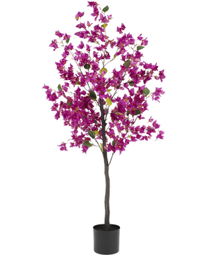 Le bougainvillier artificiel 150 cm violet a une tige haute et mince avec des fleurs violettes vibrantes et des feuilles vertes, dans un simple pot noir sur un fond blanc.
