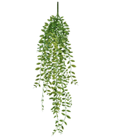 La plante succulente artificielle suspendue de 76 cm a des feuilles vertes et des tiges fines sur un fond blanc uni.