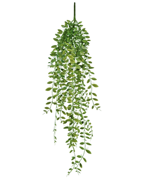 La plante succulente artificielle suspendue de 76 cm a des feuilles vertes et des tiges fines sur un fond blanc uni.
