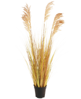 De Kunst Grasplant Sorghum 110 cm brandvertragend heeft lange, geelgroene bladeren en vederlichte bruine pluimen in een zwarte pot - ideaal om je Boho interieur een stijlvolle flair te geven tegen een effen witte achtergrond.