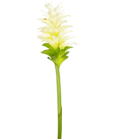De Kunstbloem Turmeric 80 cm is een enkele kunstmatige geel-witte kurkuma bloem met gelaagde bloemblaadjes en een lange groene steel, geïsoleerd op een effen witte achtergrond.