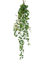 La plante suspendue artificielle Lierre deluxe 120 cm vert possède de longues vrilles vertes avec des feuilles en forme de cœur, parfaites pour ajouter une touche de beauté naturelle sur un fond blanc uni.