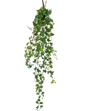 La plante suspendue artificielle Lierre deluxe 120 cm vert possède de longues vrilles vertes avec des feuilles en forme de cœur, parfaites pour ajouter une touche de beauté naturelle sur un fond blanc uni.