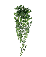 Le Lierre Artificiel 70 cm vert/blanc est une plante de lierre artificiel suspendu avec des feuilles en cascade vertes et blanches luxuriantes sur de longues tiges, sur un fond blanc uni.