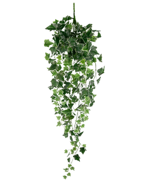 Le Lierre Artificiel 70 cm vert/blanc est une plante de lierre artificiel suspendu avec des feuilles en cascade vertes et blanches luxuriantes sur de longues tiges, sur un fond blanc uni.