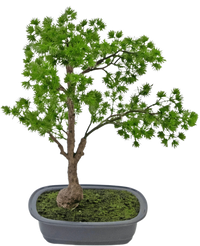 Plante artificielle Bonsai Juniper 40 cm