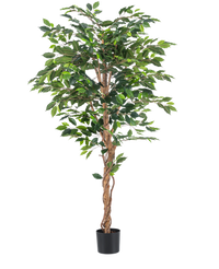 Plante artificielle Ficus Green 180 cm