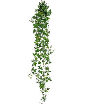 La plante artificielle suspendue Lierre Boston 180 cm vert possède de longues tiges vertes pendantes avec des feuilles pointues qui tombent sur un fond blanc uni.