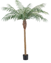 Plante artificielle Phoenix Palm De Luxe 180 cm
