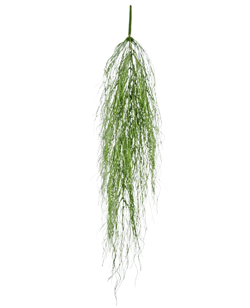 La plante artificielle suspendue Herbe de varech 91 cm a une seule tige de feuillage artificiel vert moelleux avec des feuilles longues et fines qui tombent gracieusement sur un fond blanc uni.