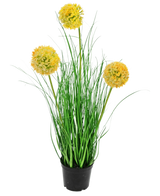 Le gazon artificiel oignon 50 cm ignifuge a de longues feuilles vertes fines et trois fleurs rondes jaunes duveteuses sur de hautes tiges, qui ajoutent un charme de jardin vert sur un fond blanc uni.