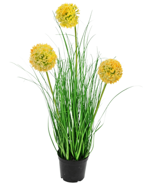Le gazon artificiel oignon 50 cm ignifuge a de longues feuilles vertes fines et trois fleurs rondes jaunes duveteuses sur de hautes tiges, qui ajoutent un charme de jardin vert sur un fond blanc uni.
