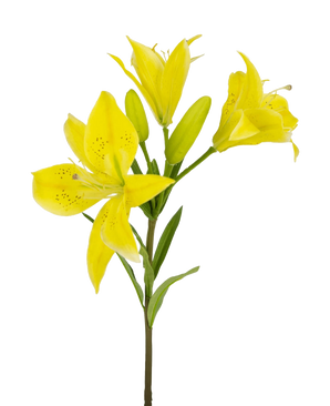 La Fleur Artificielle Lys Asiatique 66 cm jaune a une tige avec de multiples lys jaunes en fleurs et des bourgeons non ouverts, des pétales pointus avec des taches sombres au centre et des feuilles vertes, le tout sur un fond blanc.