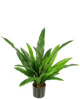 La Plante Artificielle Bird's Deluxe 60 cm est une plante d'intérieur verte en pot avec des feuilles longues, étroites et pointues dans un pot noir sur un fond blanc uni.