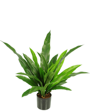 La Plante Artificielle Bird's Deluxe 60 cm est une plante d'intérieur verte en pot avec des feuilles longues, étroites et pointues dans un pot noir sur un fond blanc uni.