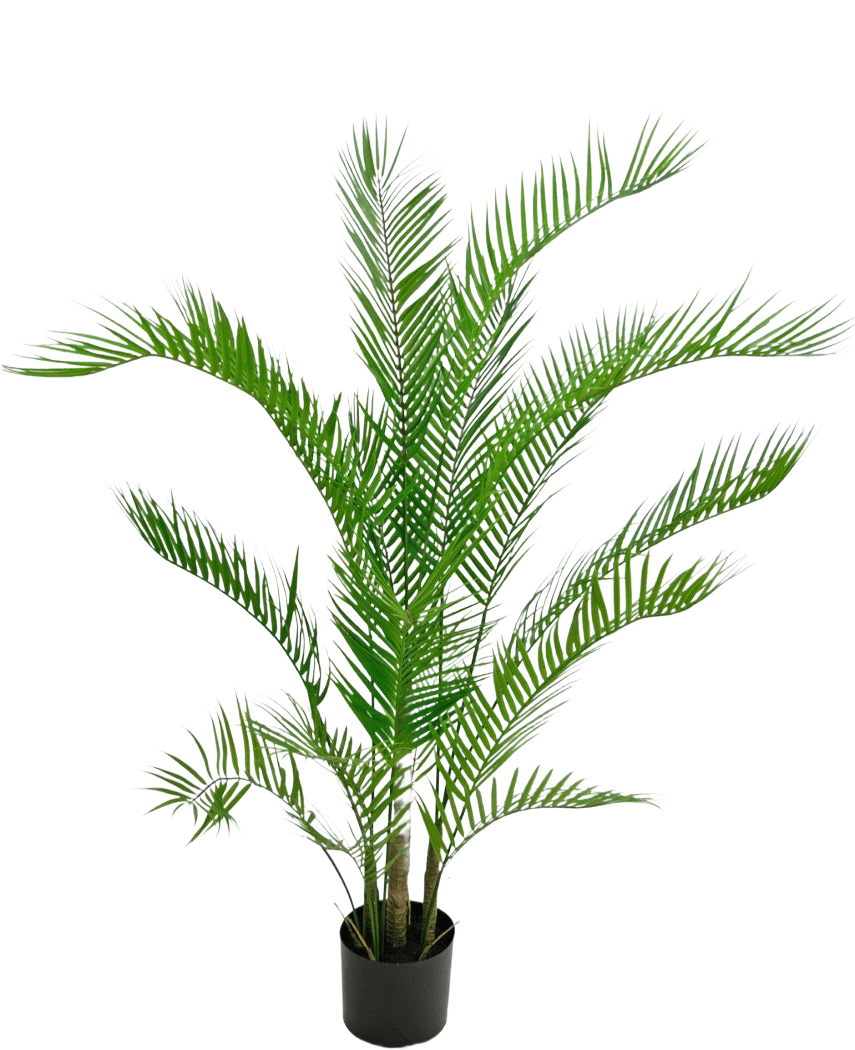 La Plante Artificielle Chamaedorea 120 cm est un palmier artificiel aux feuilles vertes longues et fines dans un pot rond noir, sur un fond blanc uni.