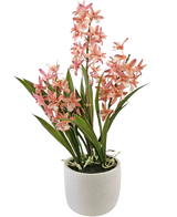 De Kunstplant Cymbidium 58 cm roze heeft hoge groene bladeren en trossen roze en witte orchideeënbloemen, gerangschikt in een eenvoudige pot van wit keramiek, perfect om elke ruimte op te fleuren.