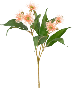 La branche artificielle d'eucalyptus fleurie de 62 cm vieux rose a de longues feuilles vertes et des fleurs rondes et vaporeuses rose clair avec des centres jaunes, parfaites comme décoration vieux rose et représentées isolées sur un fond blanc.