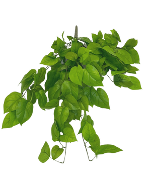 L'arbuste Pothos artificiel Deluxe 90 cm a des feuilles vertes vibrantes en forme de cœur sur des tiges minces, sur un fond blanc uni.