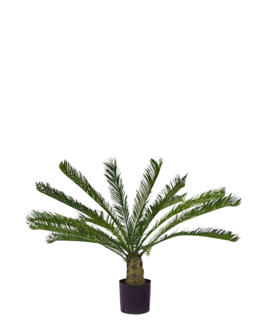 La plante artificielle Cycus Palm Deluxe 95 cm a des feuilles vertes plumeuses en surplomb et un tronc épais et structuré sur un fond blanc uni.