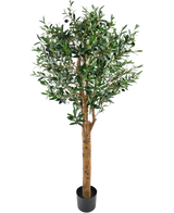 L'Olivier artificiel UV 155 cm est une plante artificielle en pot Easyplants au tronc haut marron, aux feuilles vertes denses et aux petites olives noires, élégantes sur un fond blanc uni.
