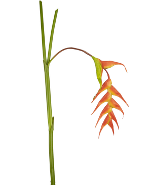 Une seule fleur artificielle Heliconia de 120 cm rouge avec des bractées rouges frappantes et une tige verte, isolée sur fond blanc.