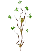 La branche artificielle Enkianthus 100 cm verte, une vigne artificielle élancée avec de petites feuilles vertes et des accents de mousse, se dresse sur un fond blanc uni.