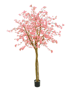 L'arbre cerisier rose artificiel 240 cm a des fleurs roses, des branches marron et un pot noir sur un fond blanc uni.