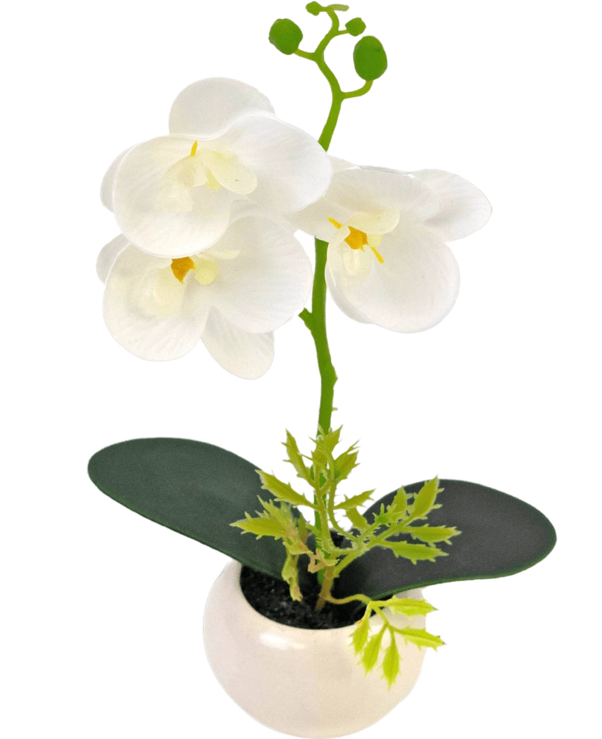 L'Orchidée Artificielle 28 cm blanche en pot présente trois grandes fleurs blanches et deux feuilles vertes dans un petit pot blanc, sur un fond uni.