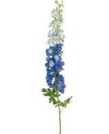 La Fleur Artificielle Delphinium 105 cm bleue a une seule longue tige avec des fleurs bleu-blanc et des feuilles vertes, sur un fond uni blanc.