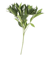La Feuille de Laurier Artificielle 50 cm verte a de multiples tiges aux feuilles pointues, magnifiquement détaillées et artistiques, présentées isolément sur un fond blanc uni.