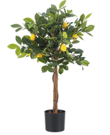 Le Citronnier Artificiel 75 cm est un petit citronnier artificiel avec un tronc marron, des feuilles vertes et plusieurs faux citrons jaunes sur un fond blanc uni.