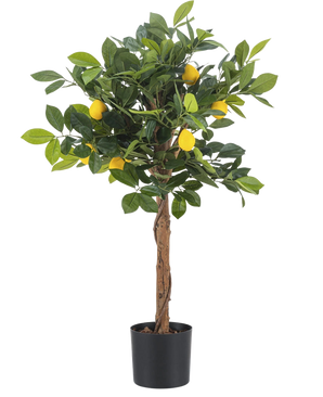 Le Citronnier Artificiel 75 cm est un petit citronnier artificiel avec un tronc marron, des feuilles vertes et plusieurs faux citrons jaunes sur un fond blanc uni.