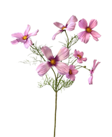 La Fleur Artificielle Cosmos 74 cm rose a une seule tige avec de multiples fleurs cosmos rose clair et de délicates feuilles vertes, joliment mises en valeur sur un fond blanc.