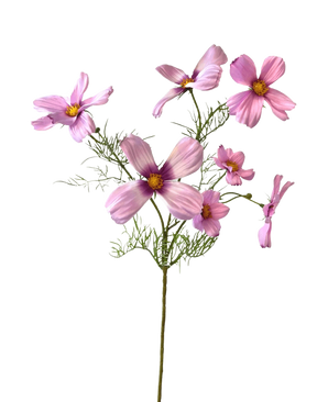 La Fleur Artificielle Cosmos 74 cm rose a une seule tige avec de multiples fleurs cosmos rose clair et de délicates feuilles vertes, joliment mises en valeur sur un fond blanc.