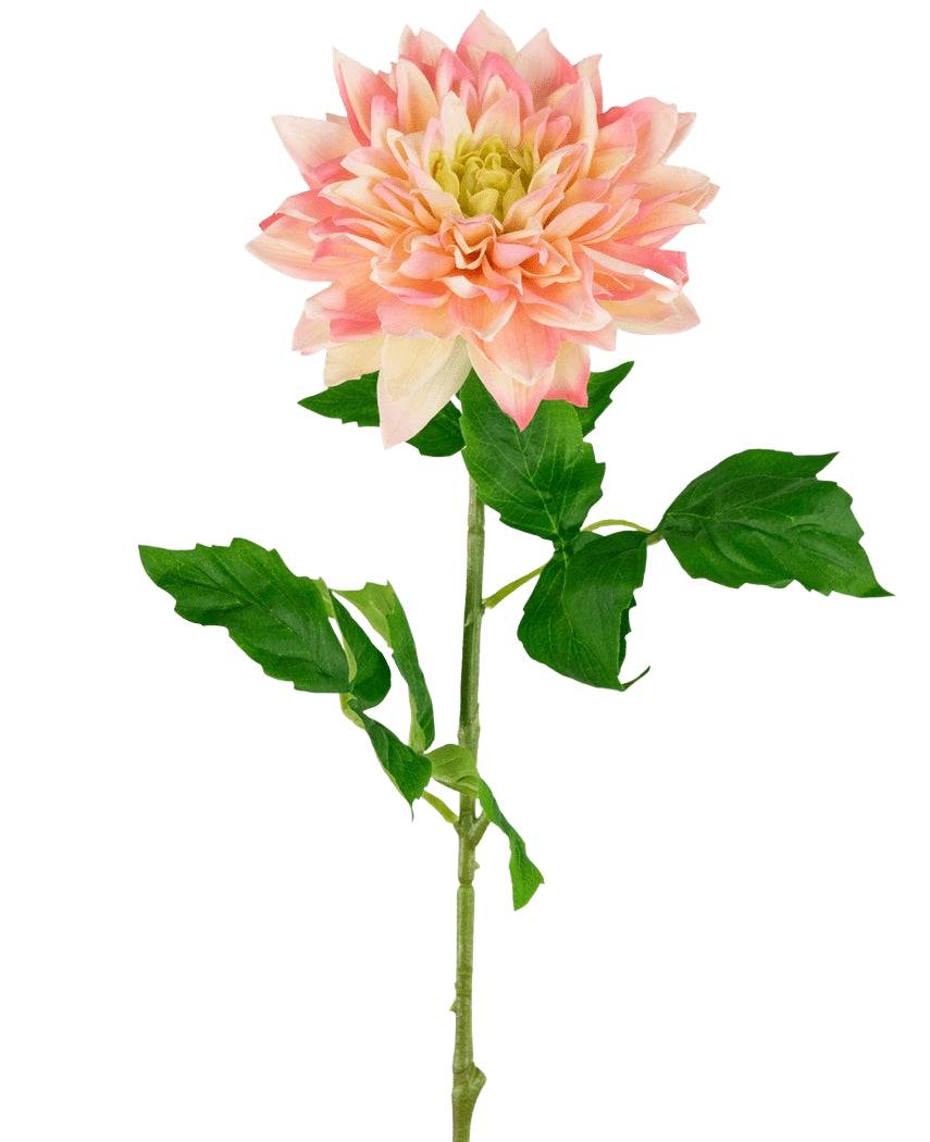 La Georgine artificielle Real Touch Jaune/rose 70 cm a une seule tige de dahlia artificielle avec des pétales jaunes et roses doux et plusieurs feuilles vertes, magnifiques sur un fond blanc uni.