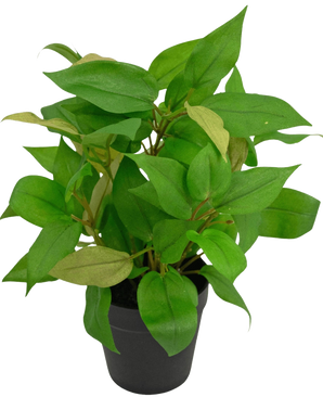 La plante artificielle "House Wanderer" en pot de 25 cm présente des feuilles vertes vibrantes dans un simple pot noir, sur un fond blanc uni.