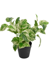 Plante artificielle Vigne d'or en pot 25cm