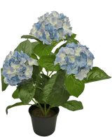 De Kunstplant Hortensia Blauw UV 35 cm heeft drie grote trossen lichtblauwe en witte bloemen met weelderige groene bladeren, gerangschikt in een pot tegen een effen witte achtergrond.