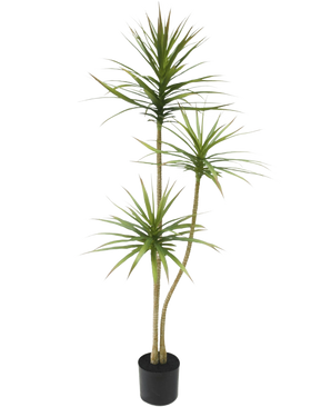 La Plante Artificielle Dracaena Fragnans 150 cm est une grande plante artificielle en pot avec trois tiges fines avec des feuilles vertes vaporeuses sur un fond blanc uni.
