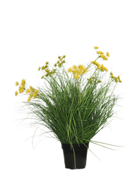 Plante de gazon artificiel Asteraceae 70 cm