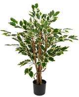 Plante artificielle Ficus Vert/blanc de 90 cm avec des tiges brunes et des feuilles vertes aux bords blancs, présentée sur un fond blanc uni.