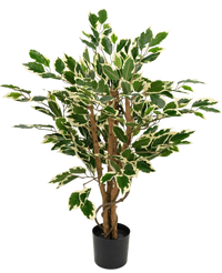 Plante artificielle Ficus vert/blanc 90 cm