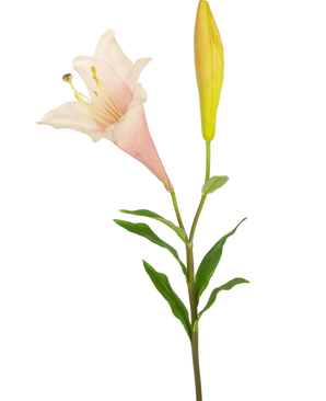 La Fleur artificielle lys exotique 74 cm rose a une tige unique avec un lys rose clair en fleurs et un bouton jaune fermé, entouré de fines feuilles vertes, sur un fond blanc.