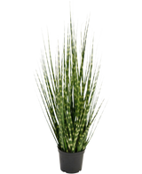 De Kunstgras Zebra uiengras tak is een 56 cm brandvertragende kunstplant met lange, smalle groene bladeren en lichtgroene strepen, die rechtop staat in een kleine zwarte pot tegen een witte achtergrond.